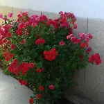 Jurat Водице