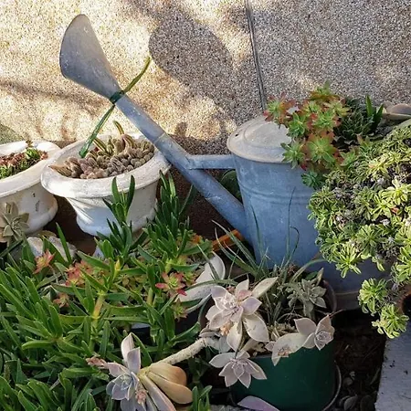 Jurat Apartament Vodice