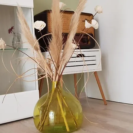 Jurat Apartamento Vodice