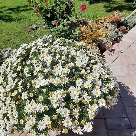 Appartement Jurat Vodice