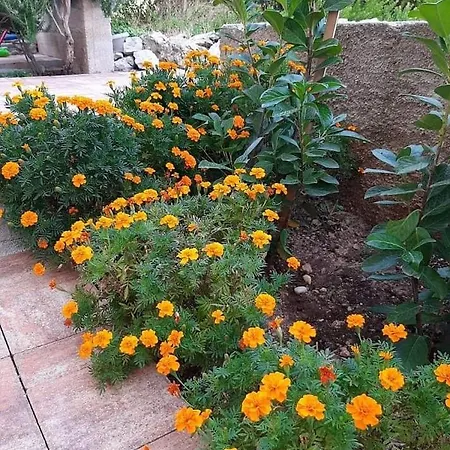 Apartamento Jurat Vodice