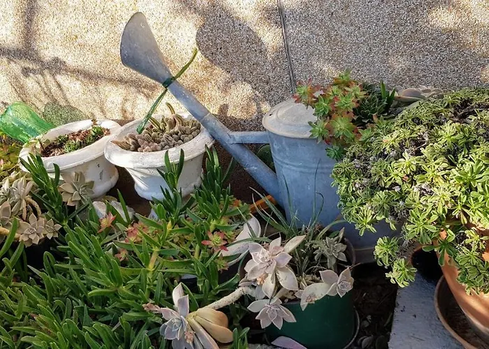 Jurat Appartement Vodice