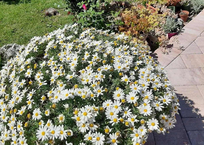 Appartement Jurat Vodice